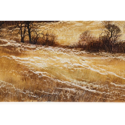 19 - † Kathleen Caddick (b. 1937), Winter moorland landscape, monogrammed, inscribed 'Nr. Ashridge' verso... 