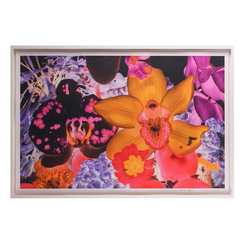 42 - † Marc Quinn (b.1964), 'At the Far Edges of the Universe 05', 2010, signed in the border, pigment pr... 