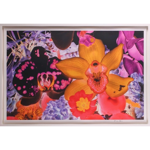 42 - † Marc Quinn (b.1964), 'At the Far Edges of the Universe 05', 2010, signed in the border, pigment pr... 