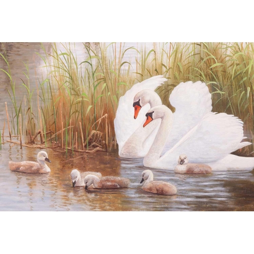 107 - † Ron Meilof (1953-2016) Dutch, A pair of swans with their cygnets, signed, oil on board, 59 x 79 cm... 