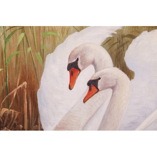 107 - † Ron Meilof (1953-2016) Dutch, A pair of swans with their cygnets, signed, oil on board, 59 x 79 cm... 