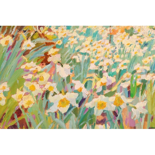 109 - † Mary Martin (b. 1951), 'Narcissus Wood in the Rain, Tamar Valley', signed and dated '90, labelled ... 