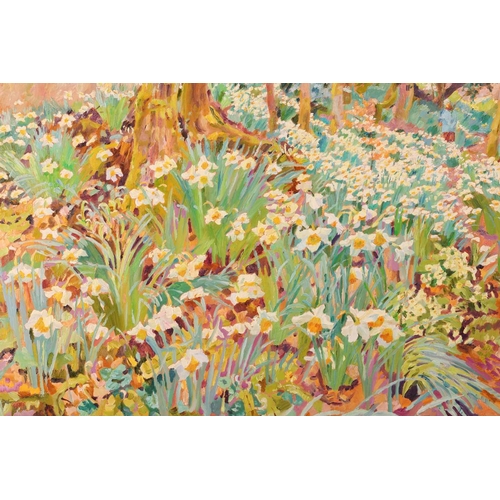 109 - † Mary Martin (b. 1951), 'Narcissus Wood in the Rain, Tamar Valley', signed and dated '90, labelled ... 