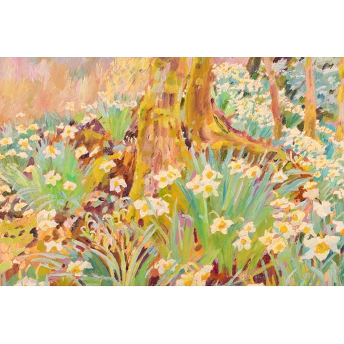 109 - † Mary Martin (b. 1951), 'Narcissus Wood in the Rain, Tamar Valley', signed and dated '90, labelled ... 