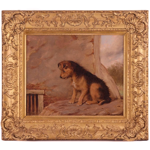 118 - Martin Theodore Ward (1799 - 1874), 'Inquistive' - a dog looking at a drain, initialled bottom right... 