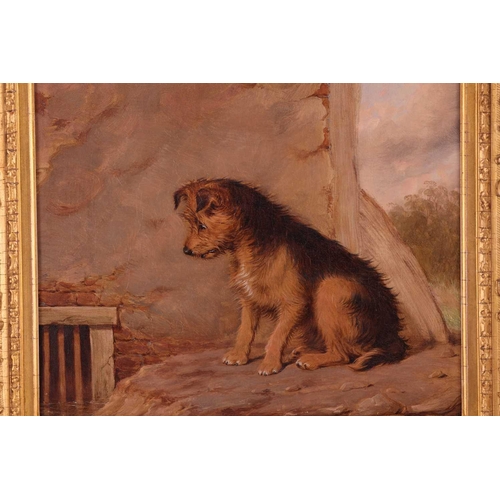 118 - Martin Theodore Ward (1799 - 1874), 'Inquistive' - a dog looking at a drain, initialled bottom right... 