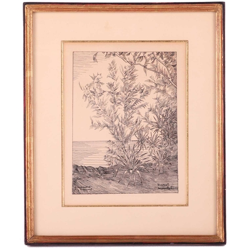 149 - † Marcel Mouillot (1889-1972) French, A Coastal Study with trees and exotic plants, pen and ink, sig... 