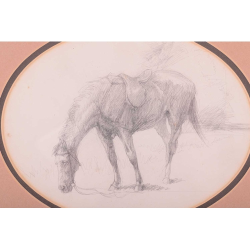 151 - † Lucy Kemp-Welch (1869 - 1958), Grazing in the Meadow, unsigned, pencil, 14 x 18 cm, framed and gla... 