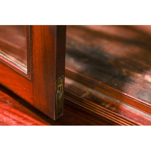 183 - A George IV mahogany secretaire bookcase, the upper section with a pair of eliptical glazed doors, t... 