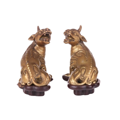 49 - A pair of Chinese, gilt bronze scholar's scroll weights, in the form of seated Pixue, Qing Dynasty, ... 