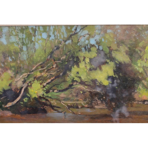 99 - † Morris Meredith Williams (1881 - 1973), Summer view of a river, signed, oil on board, 33 x 40 cm, ... 