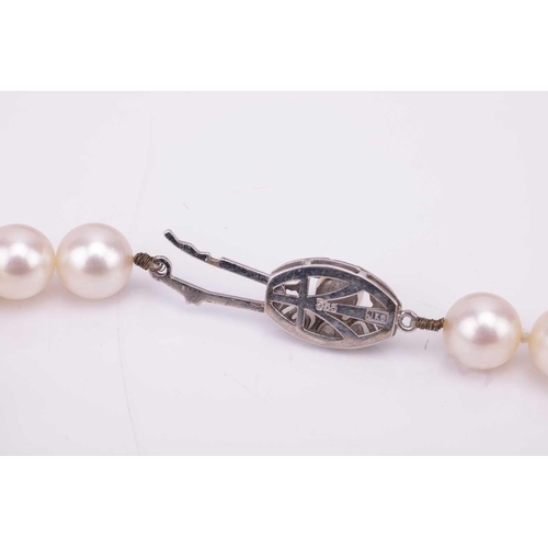 25 - A single-strand cultured pearl necklace, with uniform-size pearls measuring approximately 7.8mm each... 