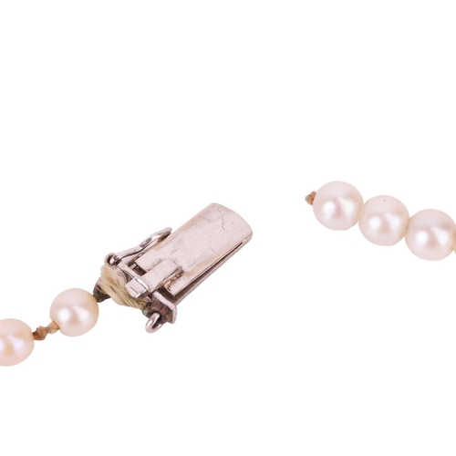 86 - A double row cultured pearl necklace, and a pair of coral and pearl set pinchbeck earrings. The doub... 