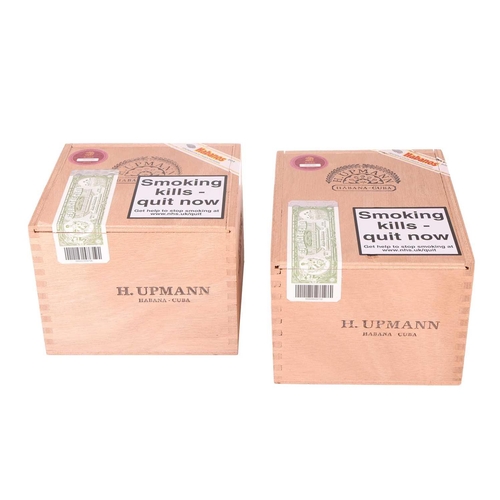 96 - One Part Box H Upmann Magnum 54 (12 cigars), EMS, OER MAR21, with One part box H Upmann Magnum 50 (1... 