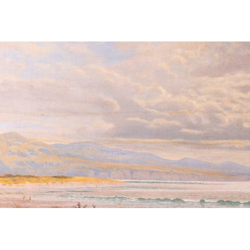 28 - S. Butler (British, 19th century), Coastal Landscape, signed 'S. Bulter 1892' (lower left), oil on c... 