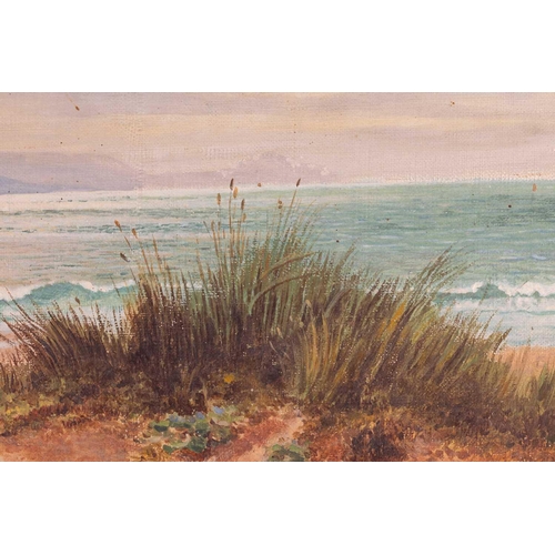 28 - S. Butler (British, 19th century), Coastal Landscape, signed 'S. Bulter 1892' (lower left), oil on c... 