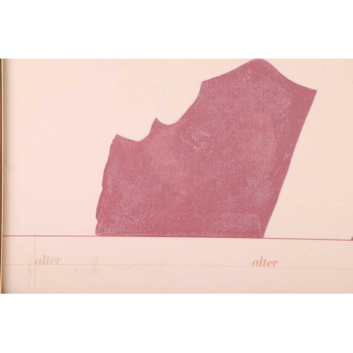 88 - Derrick Greaves (1927-2002), 'Alter Alter Also There', screenprint, unsigned, 46 cm x 62 cm, framed ... 