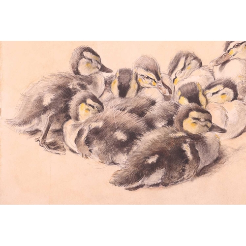 126 - † Xavier de Poret (French, 1894 - 1975), A group of nestling ducklings, signed 'X de Poret' (lower r... 