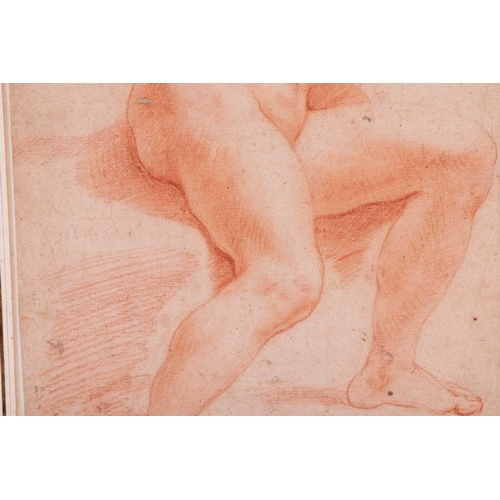 146 - Carracci School, 17th century, Seated male nude leaning to the left, red chalk on laid paper, 39 x 2... 