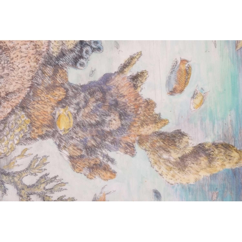 99 - † Robert Gibbings (1889 - 1958), Corals reefs of Bermuda, signed 'Gibbings'(lower right), pencil and... 