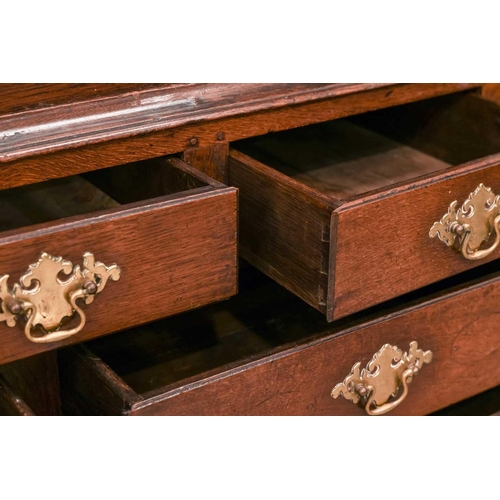 117 - A Welsh (Camarthen) oak coffer/cupboard, late 18th century, with a pair of distinctive lancet panel ... 