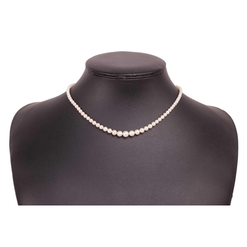 164 - A cultured pearl necklace, the graduated pearls of cream body, measuring approximately 3.3mm to 7.4m... 