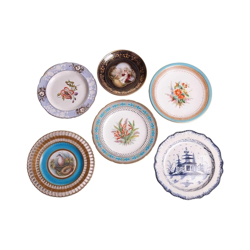 183 - A Minton bone china cabinet plate painted with a bird near her nest of eggs within tooled gilt, blu ... 