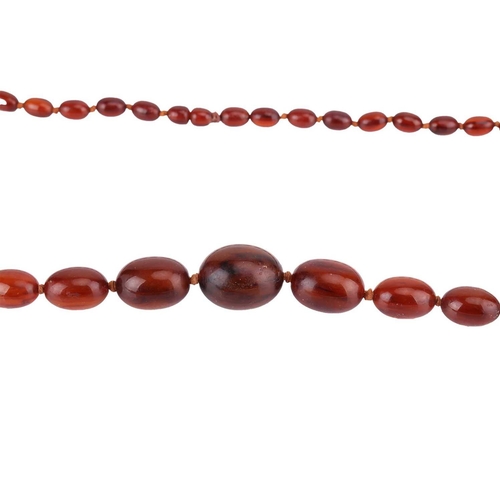 10 - Two beaded necklaces; to include a single-strand amber bead necklace with graduated butterscotch amb... 