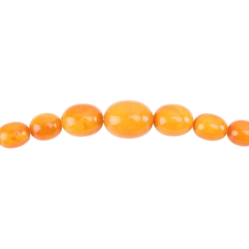 35 - Two amber bead necklaces; a row of butterscotch graduated oval amber beads from 15.0 mm in length to... 