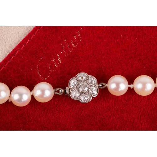 64 - A single-row cultured pearl necklace with diamond cluster clasp, comprising a row of cream-coloured ... 