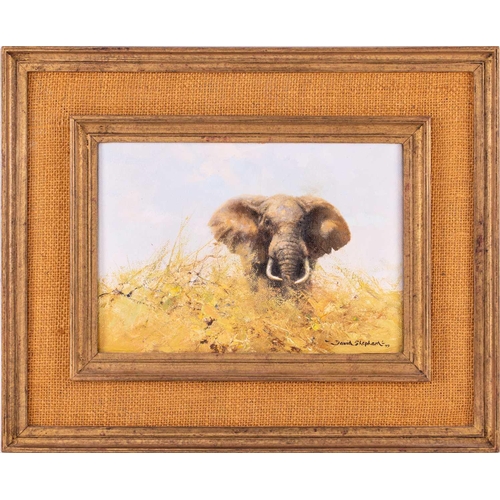 24 - † David Shepherd CBE (British 1931-2017) Bull Elephant in Long Grass signed and dated 'David Shepher... 