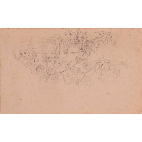 26 - Johann Moritz Rugendas (German 1802-1858) Study of grape vines, and another of branches pencil on pa... 