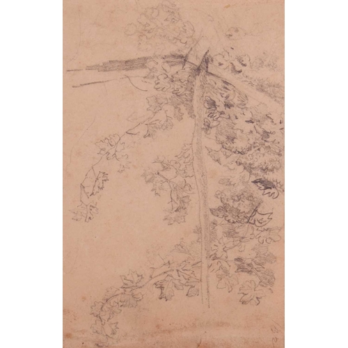 26 - Johann Moritz Rugendas (German 1802-1858) Study of grape vines, and another of branches pencil on pa... 