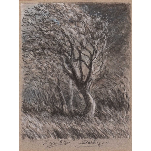 34 - † Roland Arribas (French, 1922 - 1986) Study of a Tree signed 'Arribas Barbizon' (lower centre) char... 