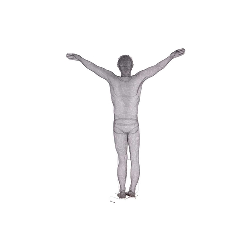 91 - † Nikki Taylor (British Contemporary), Tom Daley in 'Take Off' pose, life-size wire mesh sculpture w... 