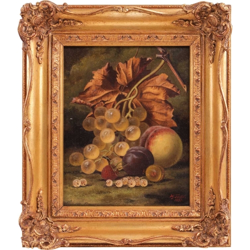 Lot 22        