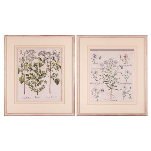 Lot 30        