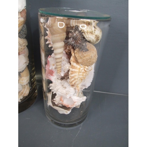 111 - 1 Large + 1 small glass shells