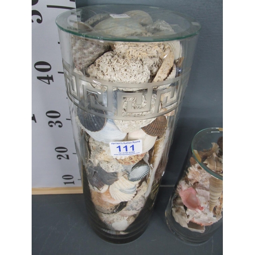 111 - 1 Large + 1 small glass shells