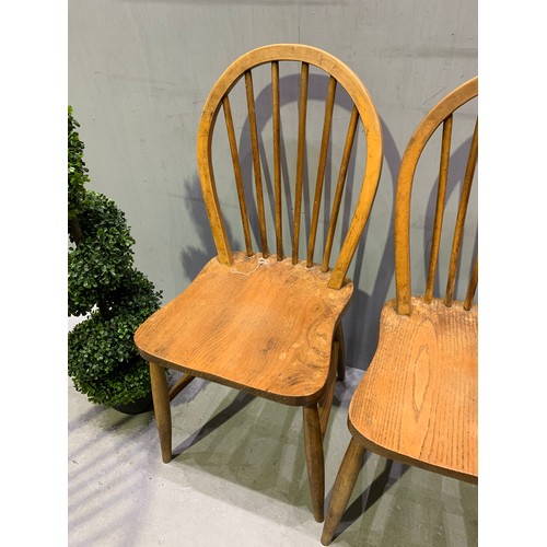481 - 4 Ercol chairs (poor condition as seen in pictures)