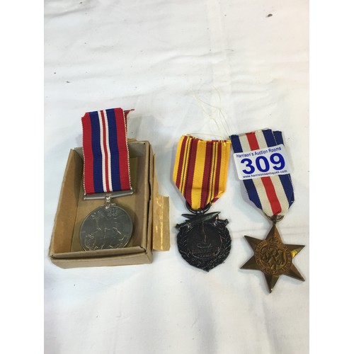 Lot 309       