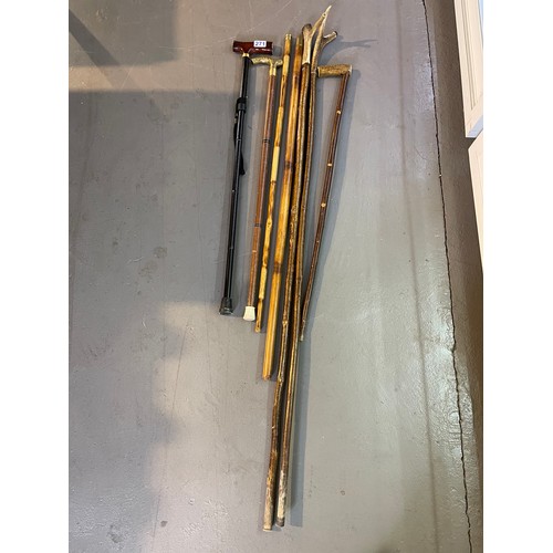 271 - Quantity walking sticks