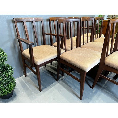 579 - 10x A younger dining chairs