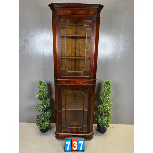 737 - Edwardian mahogany double door cabinet