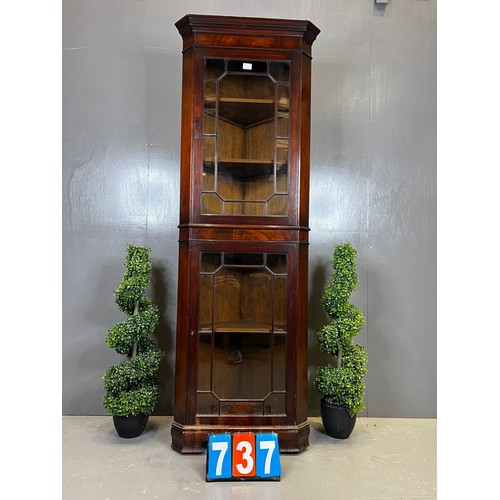 737 - Edwardian mahogany double door cabinet