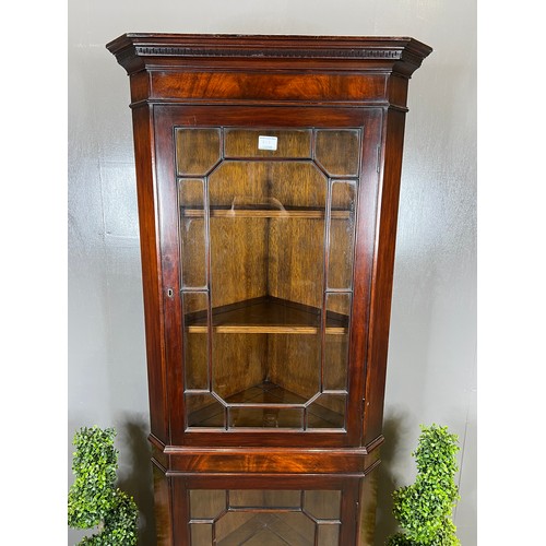 737 - Edwardian mahogany double door cabinet