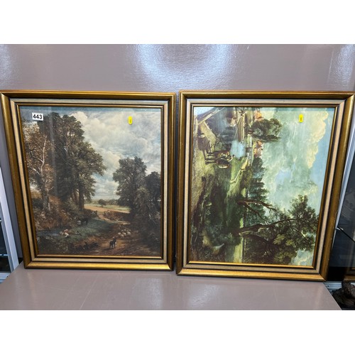 443 - Pair pictures