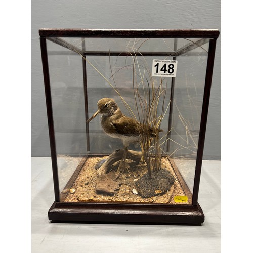 148 - Taxidermy bird in case