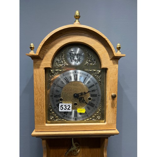 532 - Tempus fugit wall clock