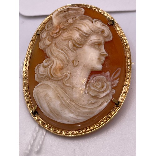 465p - 18ct Gold rimmed cameo brooch/pendant